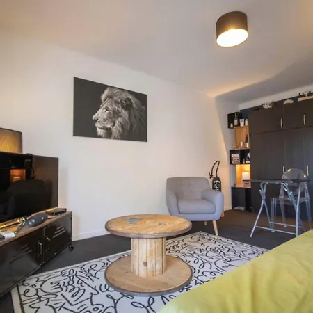 Apartment Beautiful 34m With Terrace In Saint-raphael